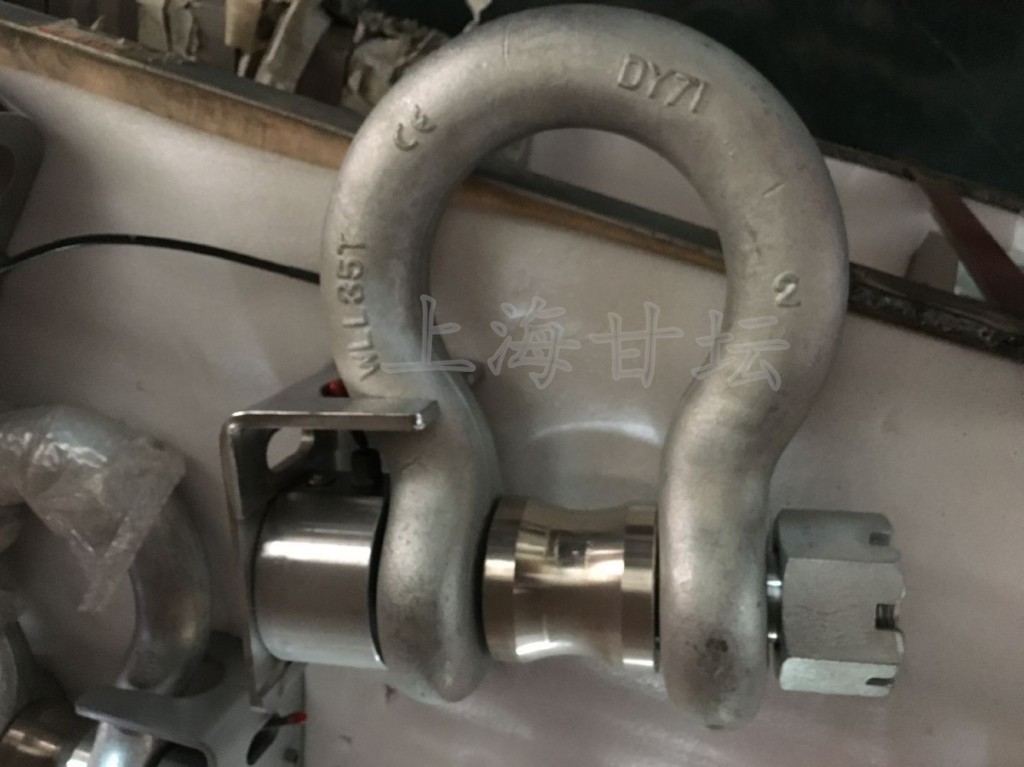 20噸吊車自重測(cè)力計(jì) 受力量程達(dá)25t